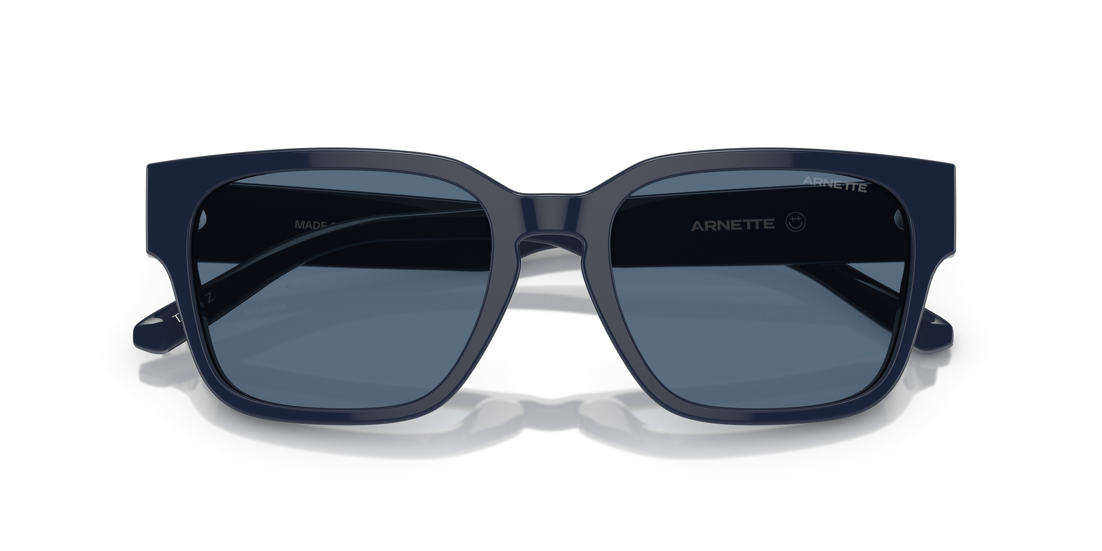 AN4294 TYPE Z Sunglasses - Arnette Authorized Retailer