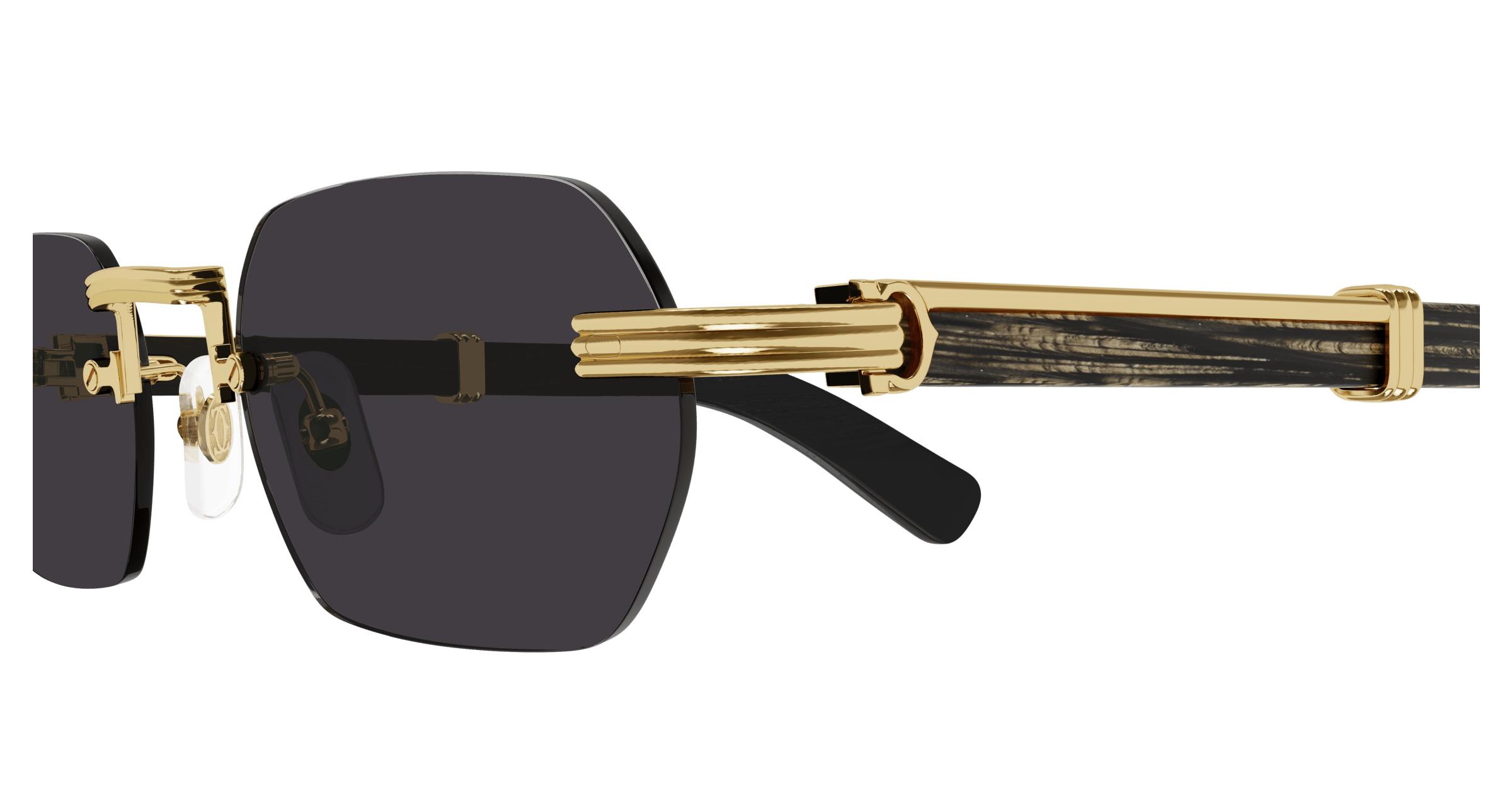 CT0362S Sunglasses - Cartier Authorized Retailer | coolframes.com