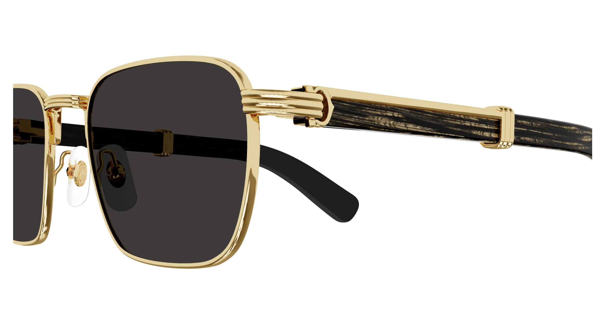 CT0363S Sunglasses - Cartier Authorized Retailer | coolframes.com