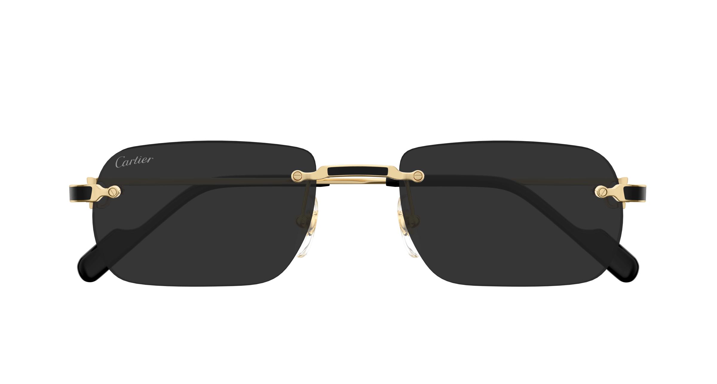 CT0498S Sunglasses - Cartier Authorized Retailer | coolframes.com