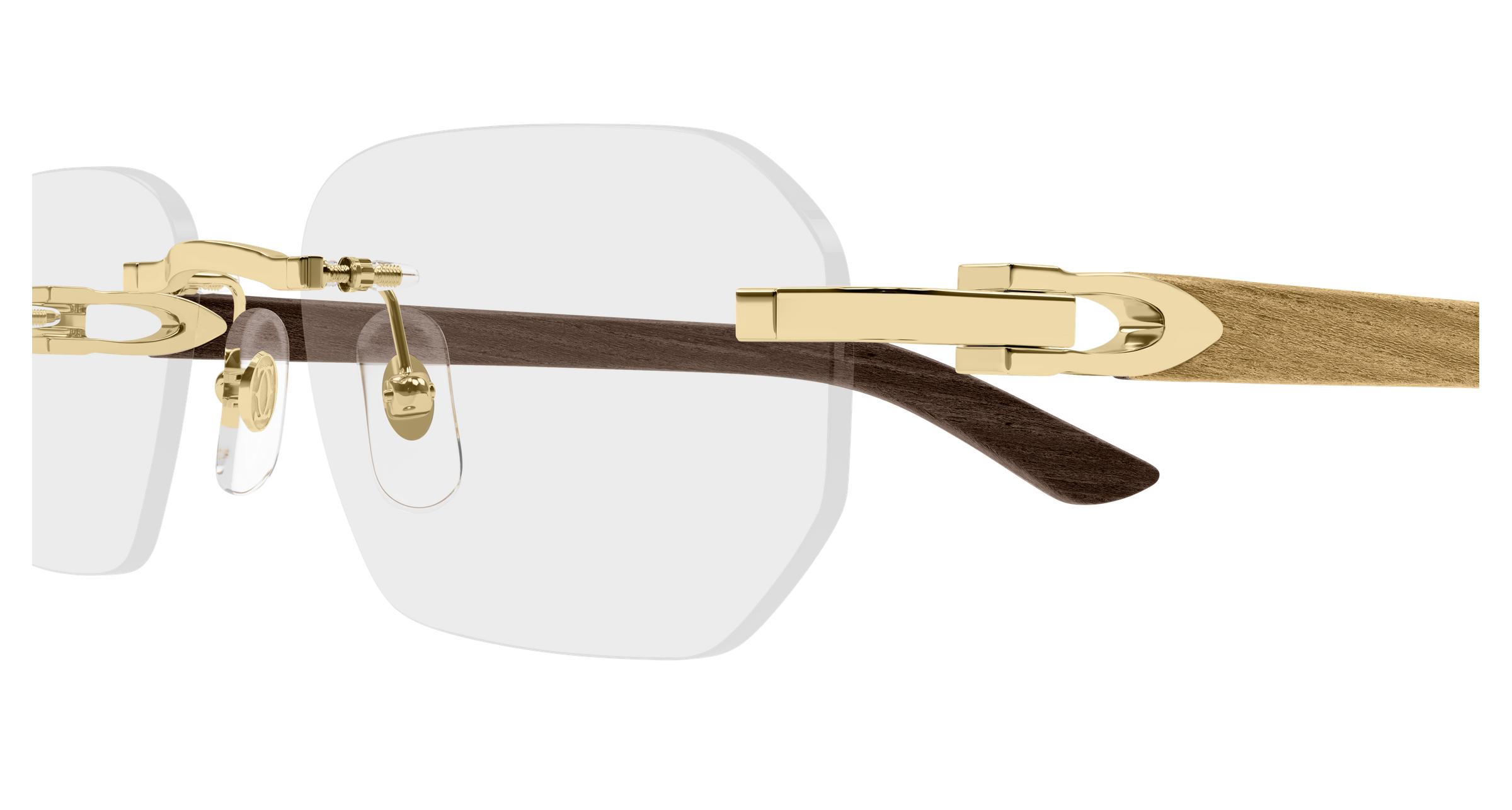 Brand new cartier glasses Cartier CT0362S Sunglasses | Free Shipping | Edward Beiner main image 4