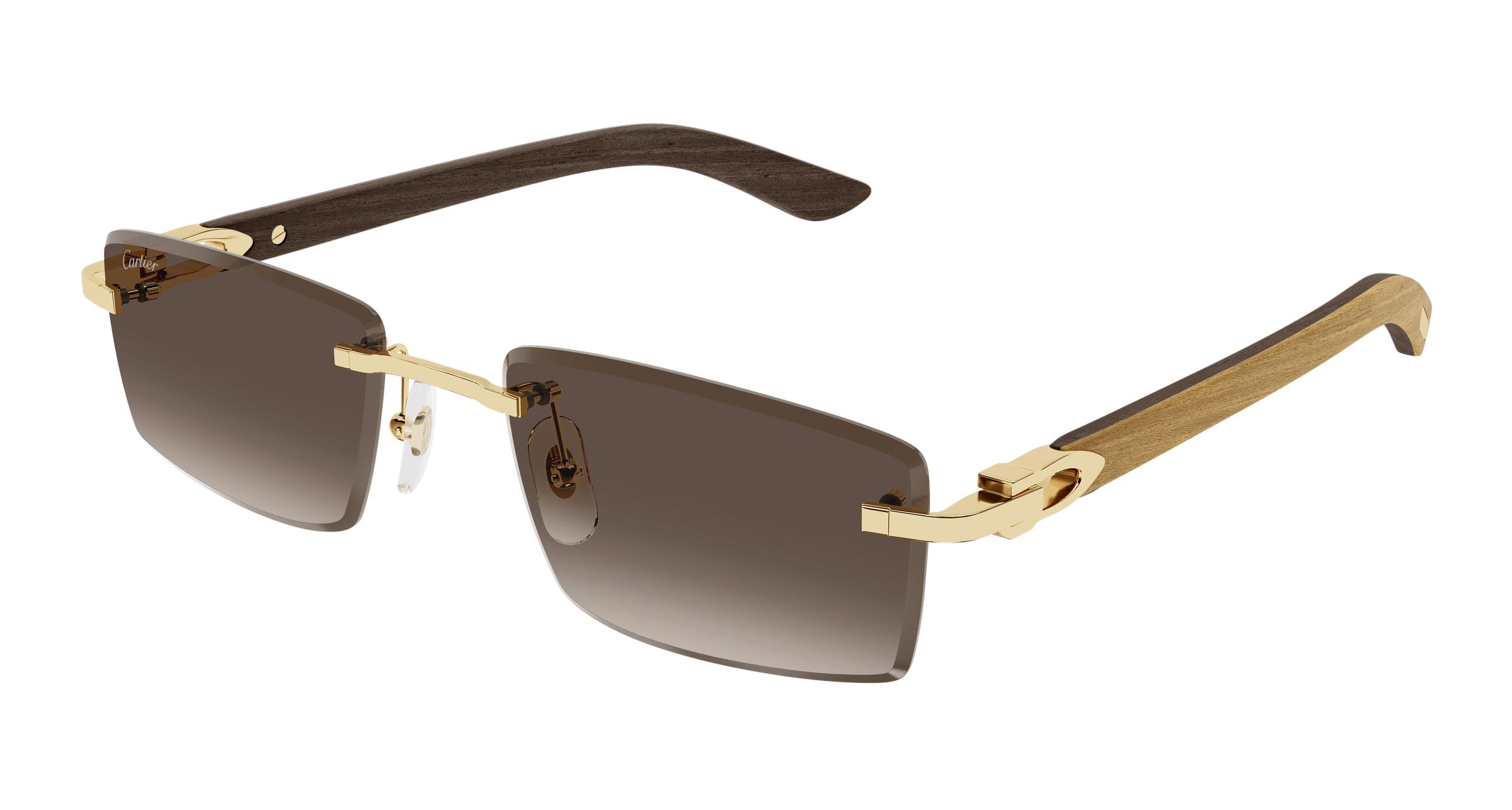 CT0582S Sunglasses - Cartier Authorized Retailer  display picture 1