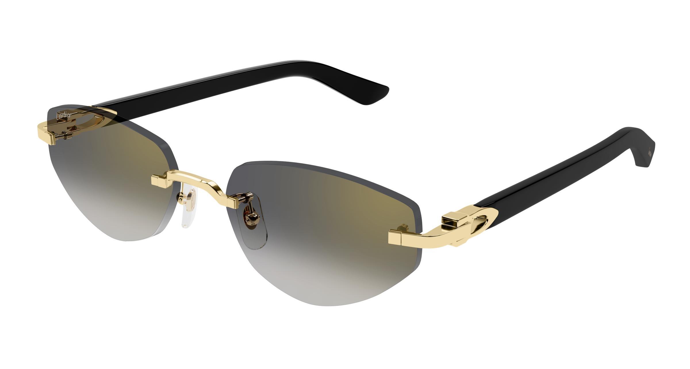 CT0580S Sunglasses - Cartier Authorized Retailer  display picture 3