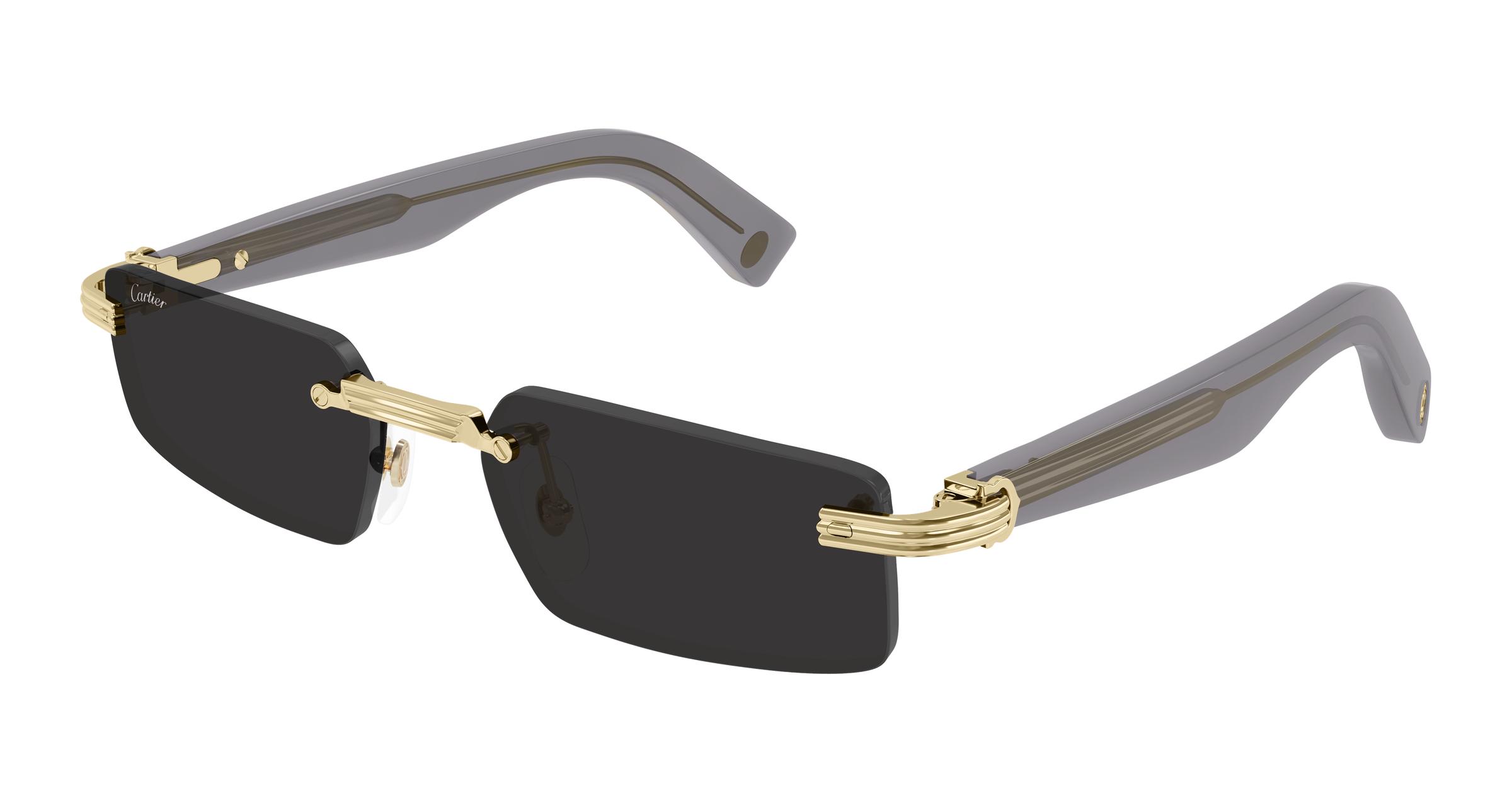 CT0537S Sunglasses - Cartier Authorized Retailer 