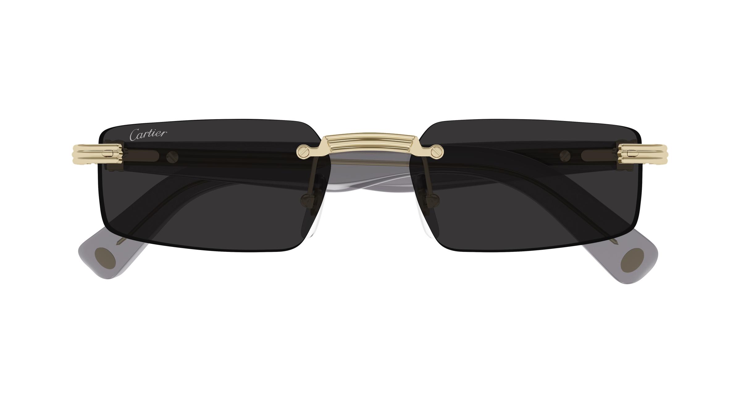 NWT Cartier CT0537S-002 Sunglasses Cartier: Gray CT0537S Sunglasses | SSENSE main image 3