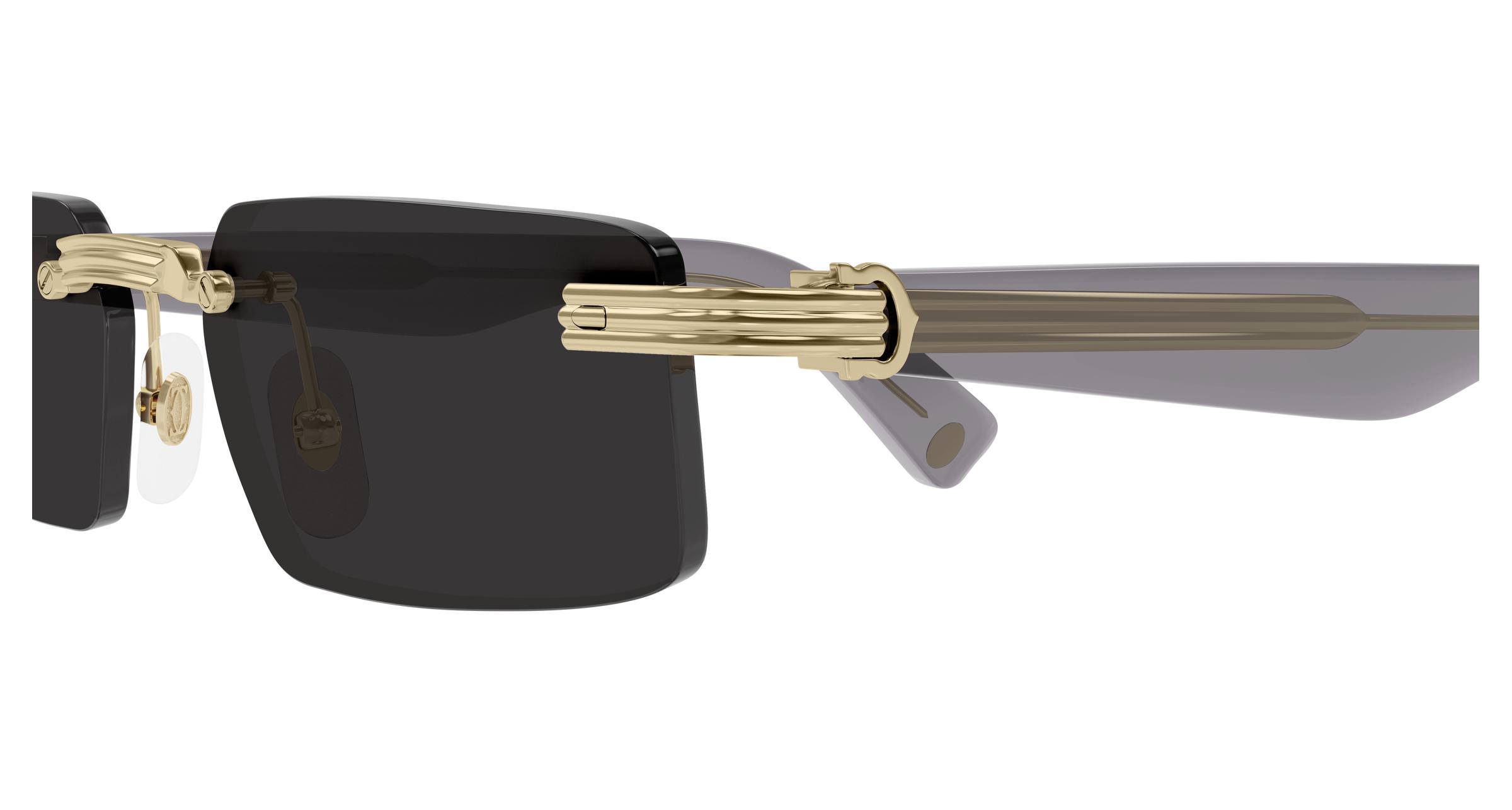 CT0537S Sunglasses - Cartier Authorized Retailer  display picture 2
