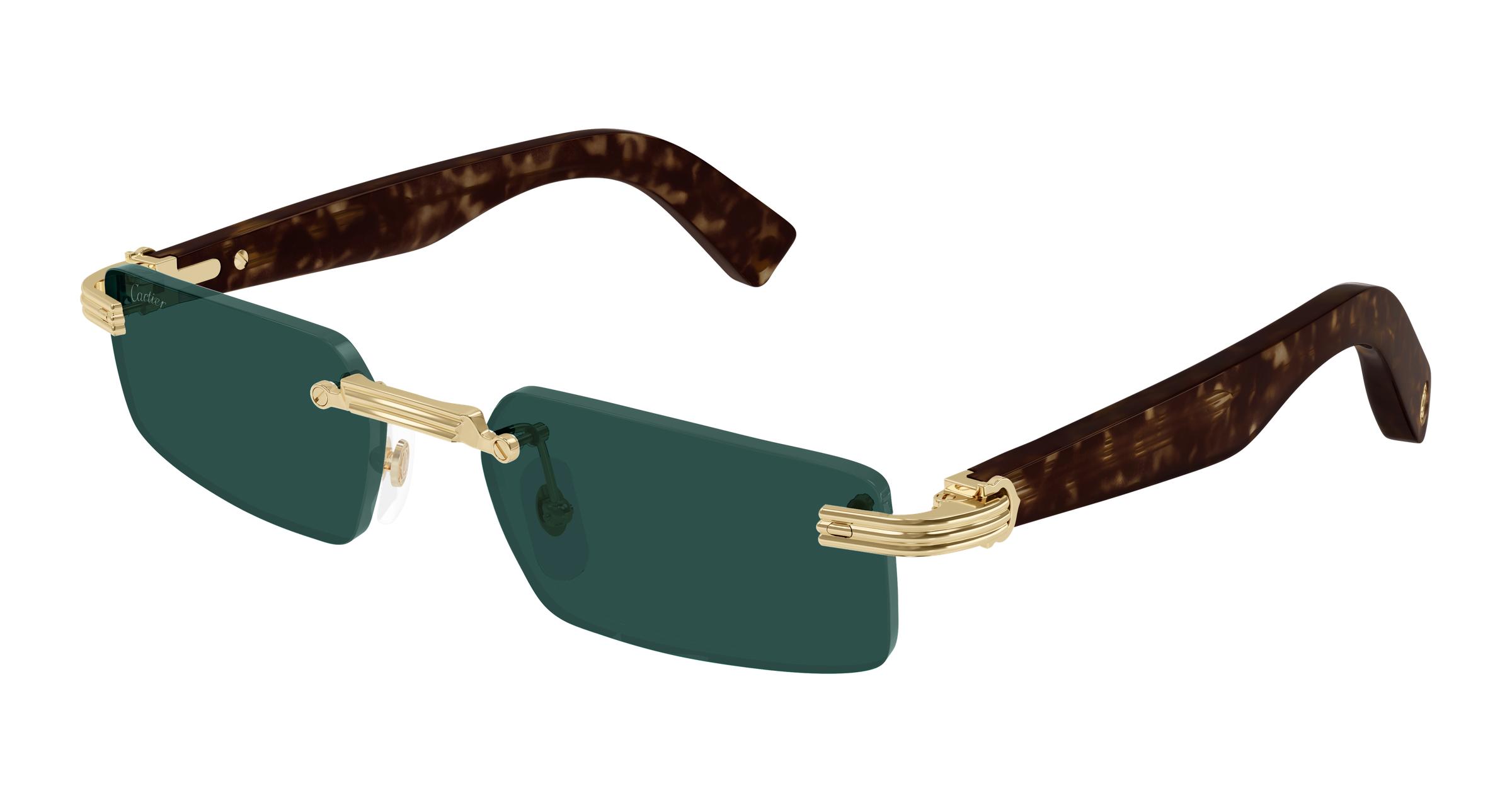CT0537S Sunglasses - Cartier Authorized Retailer  display picture 1