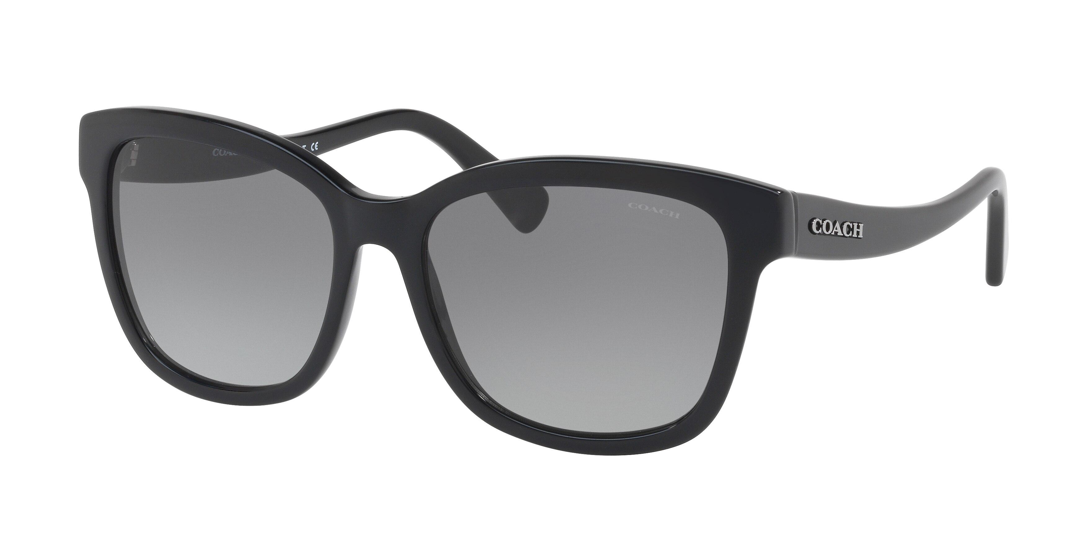 HC8219 L1656 Sunglasses - Coach Authorized Retailer 