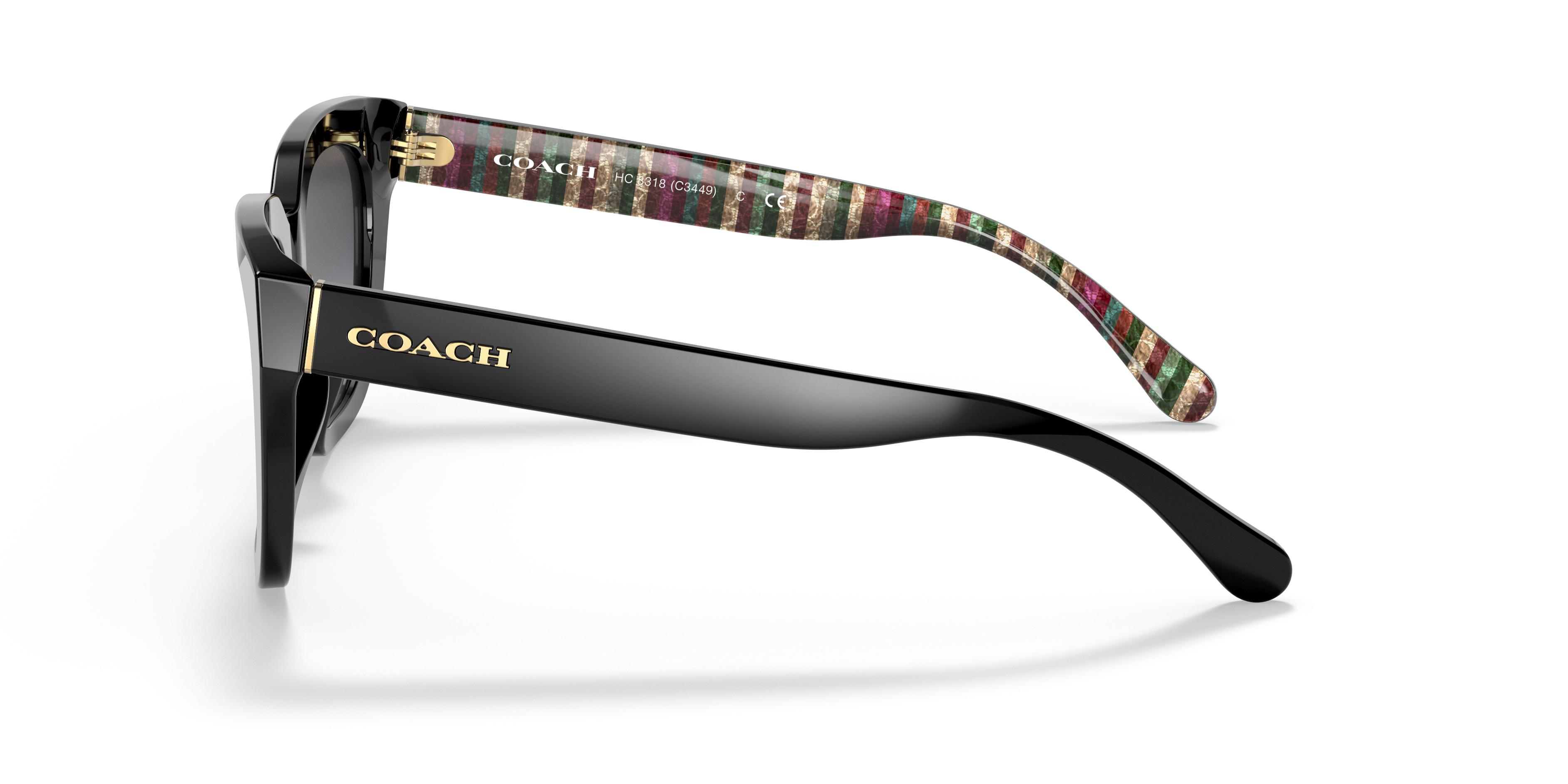 HC8318 C3449 Sunglasses - Coach Authorized Retailer 