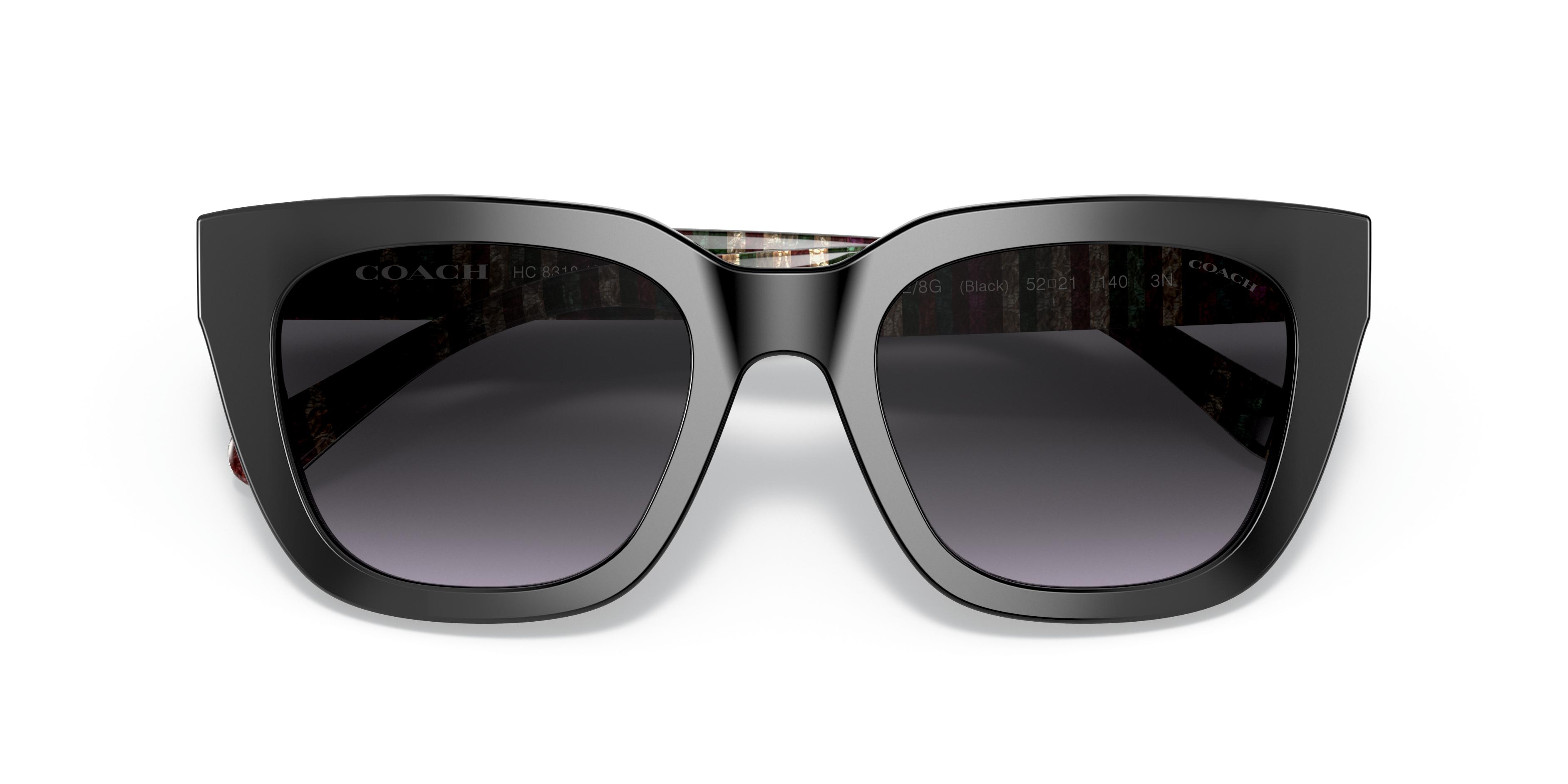 HC8318 C3449 Sunglasses - Coach Authorized Retailer 