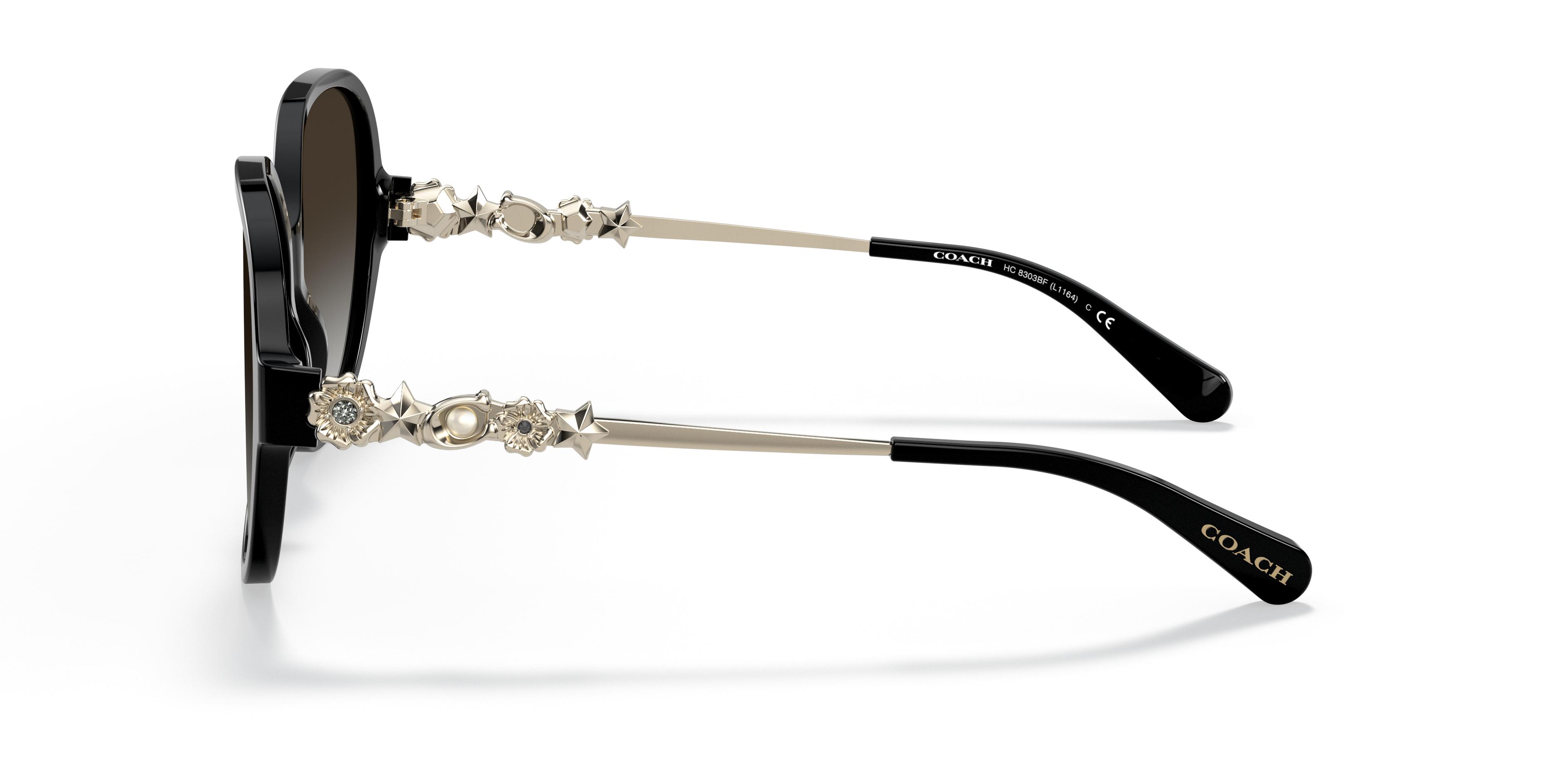 HC8303BF L1159 Sunglasses - Coach Authorized Retailer | coolframes