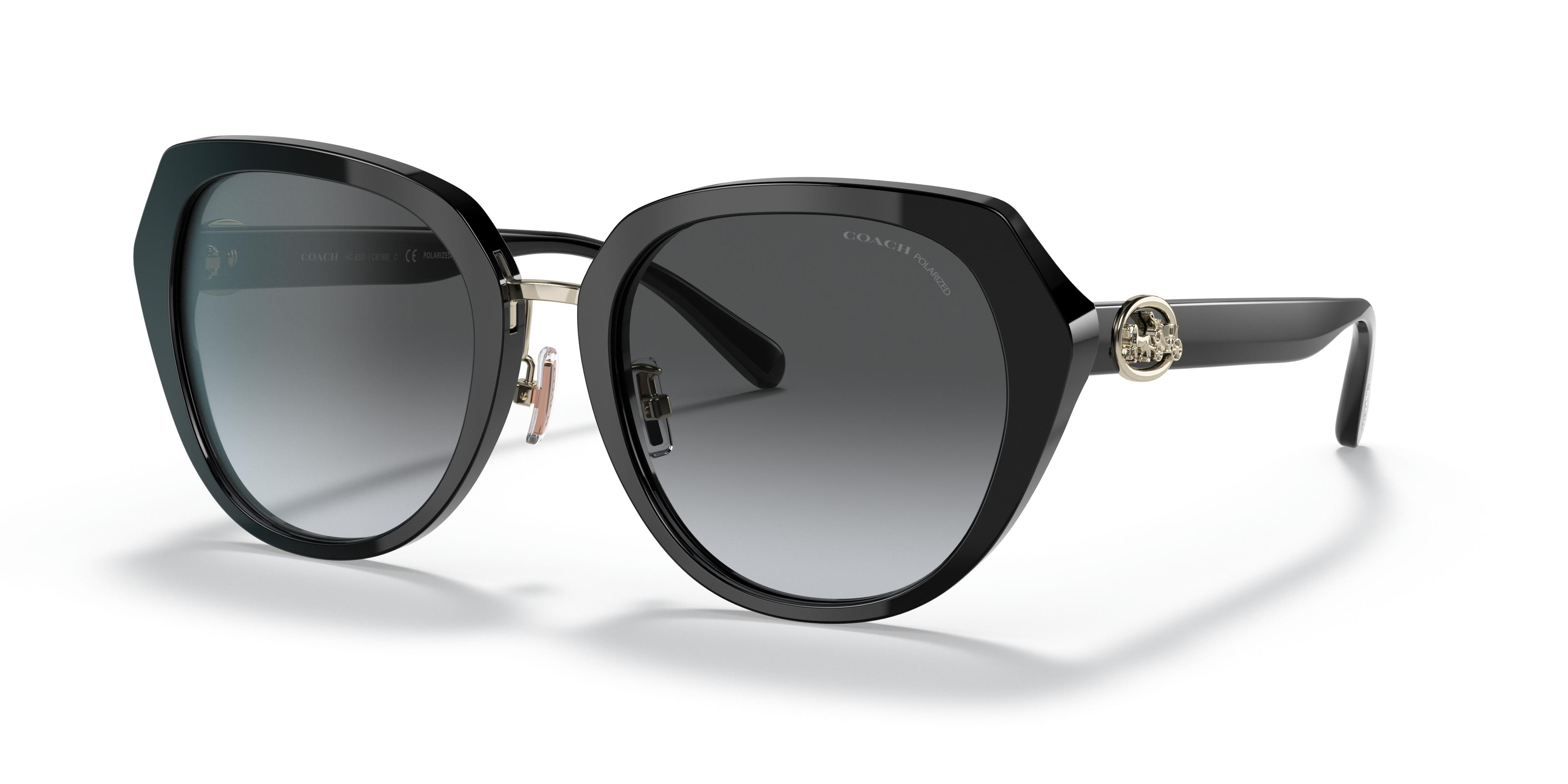 HC8331 C6189 Sunglasses - Coach Authorized Retailer 