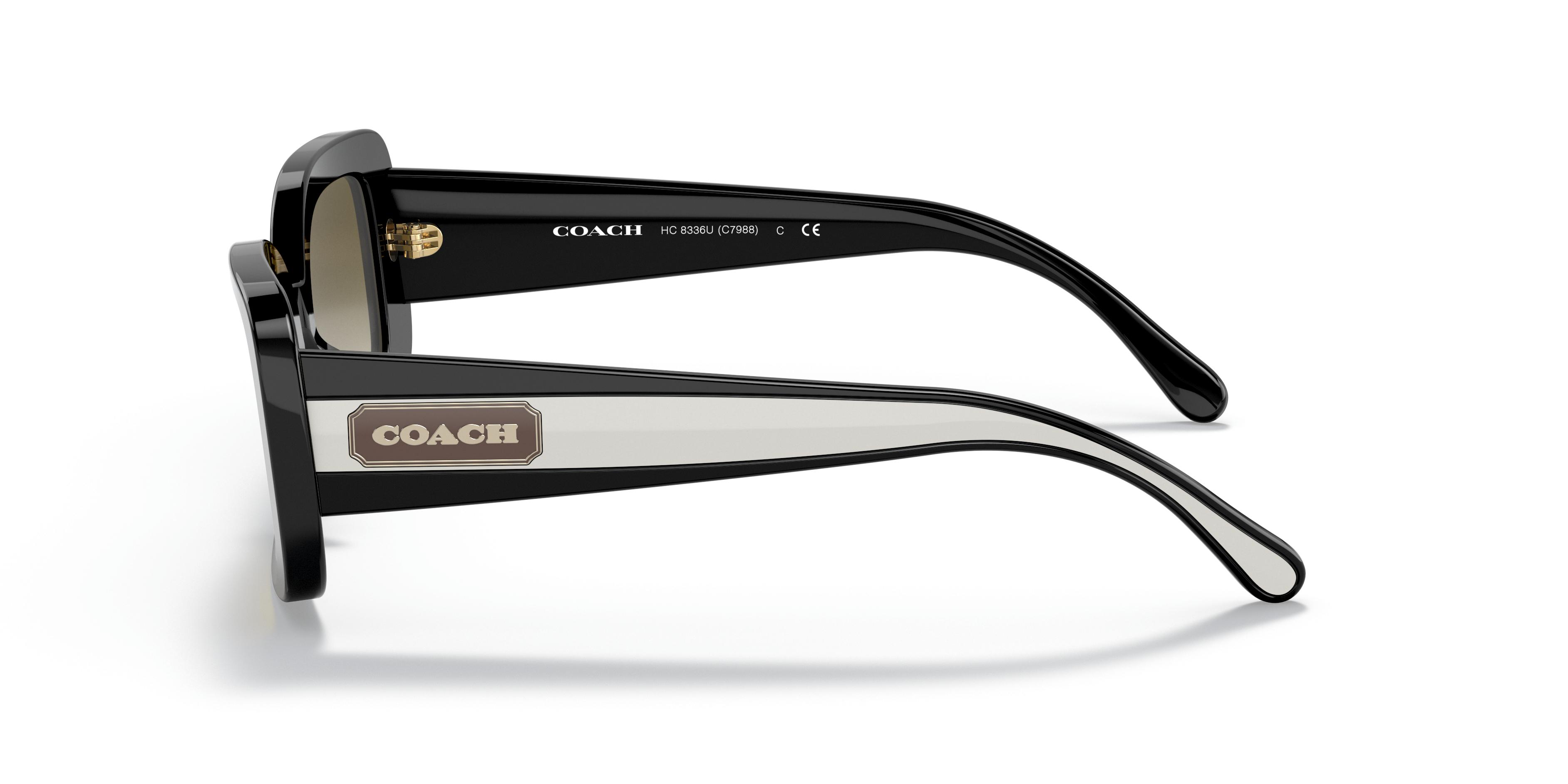 HC8336U C7988 Sunglasses - Coach Authorized Retailer 