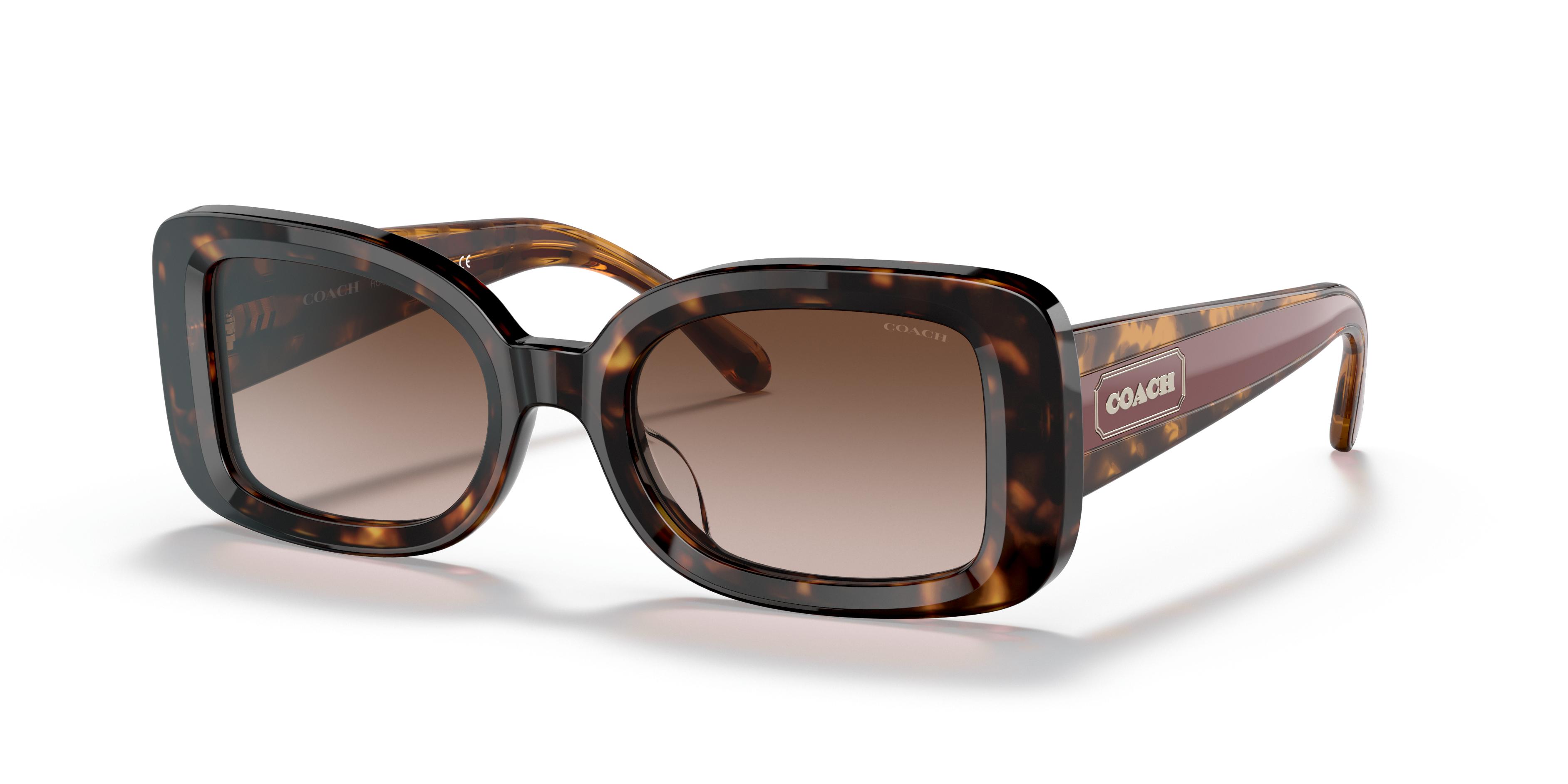 HC8336U C7988 Sunglasses - Coach Authorized Retailer 