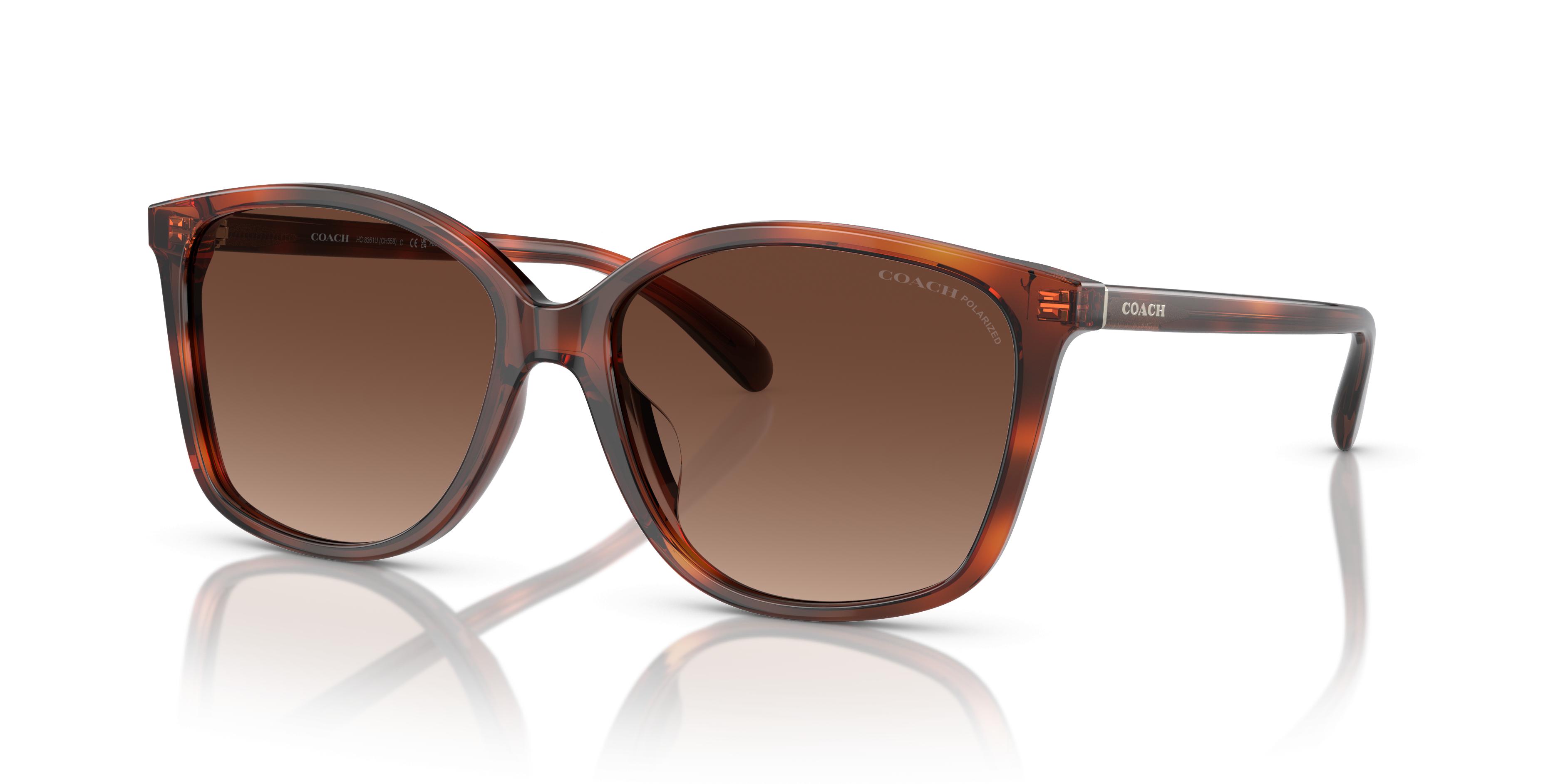 HC8361U CH558 Sunglasses - Coach Authorized Retailer | coolframes