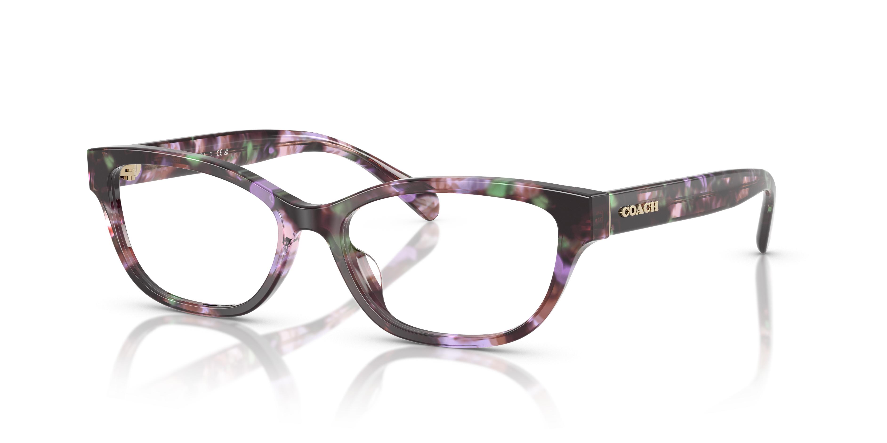 HC6250U Eyeglasses - Coach Authorized Retailer | coolframes  display picture 2