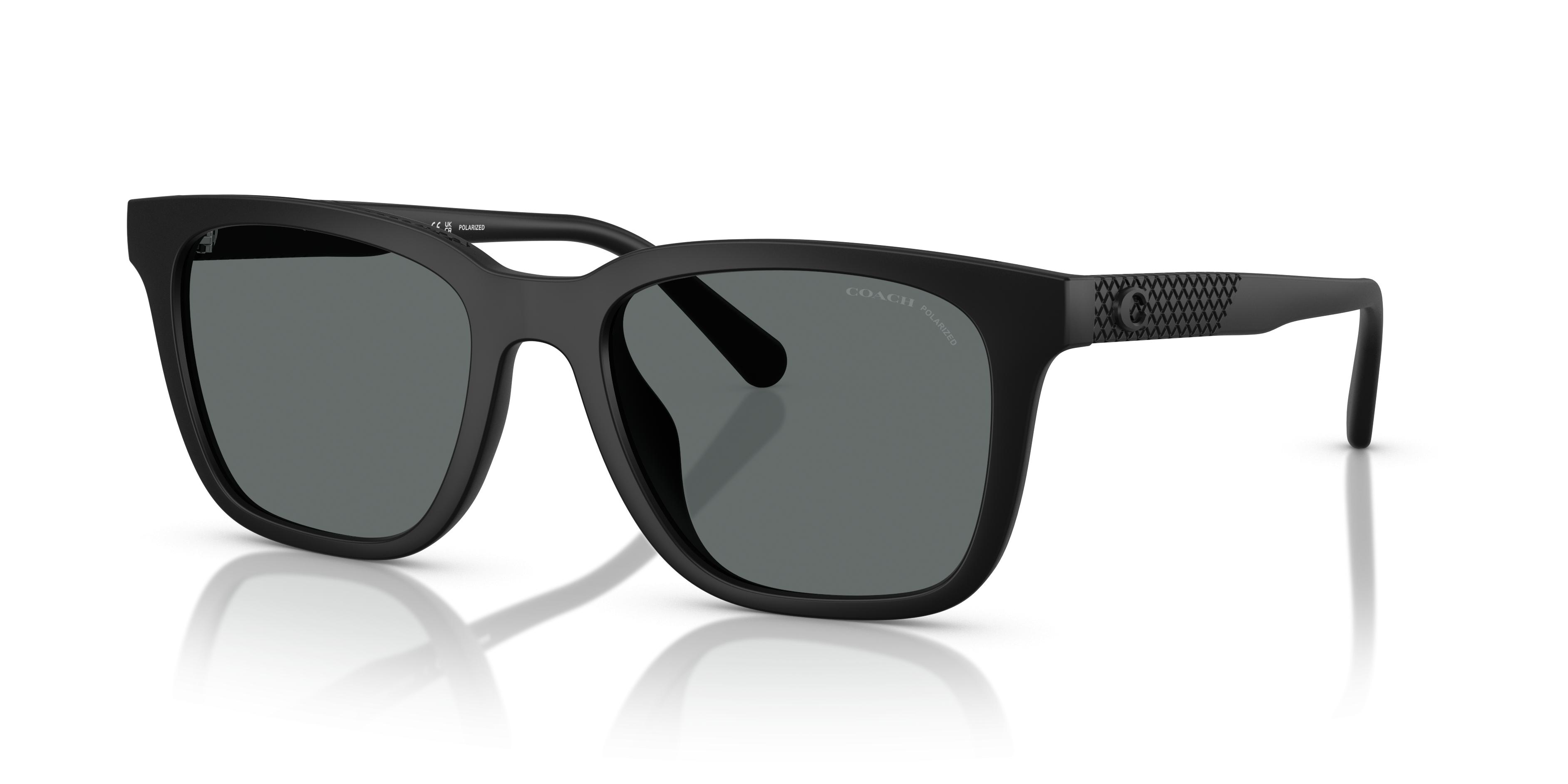 HC8426U CAD81 Sunglasses - Coach Authorized Retailer  display picture 2