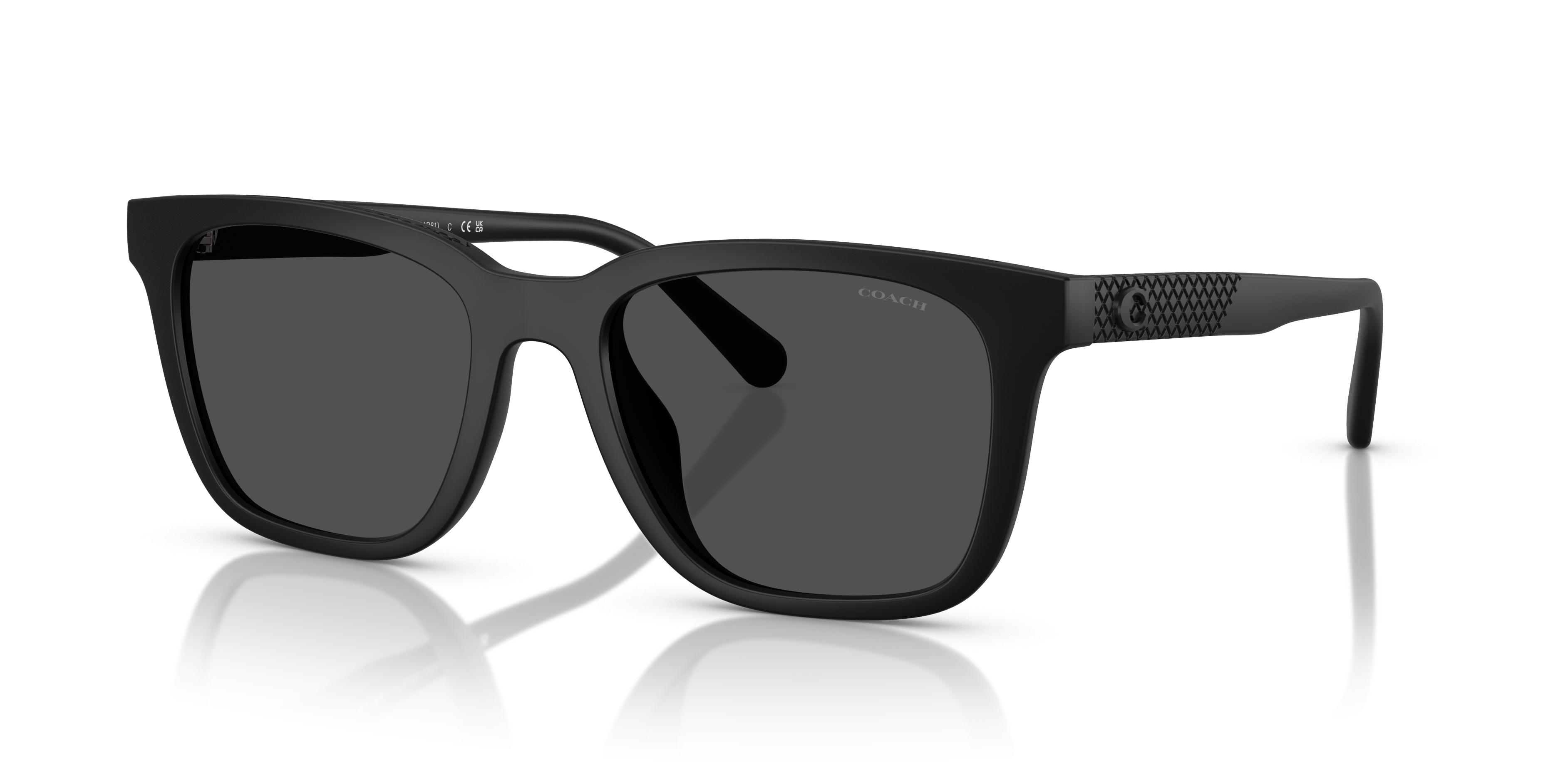 HC8426U CAD81 Sunglasses - Coach Authorized Retailer | coolframes