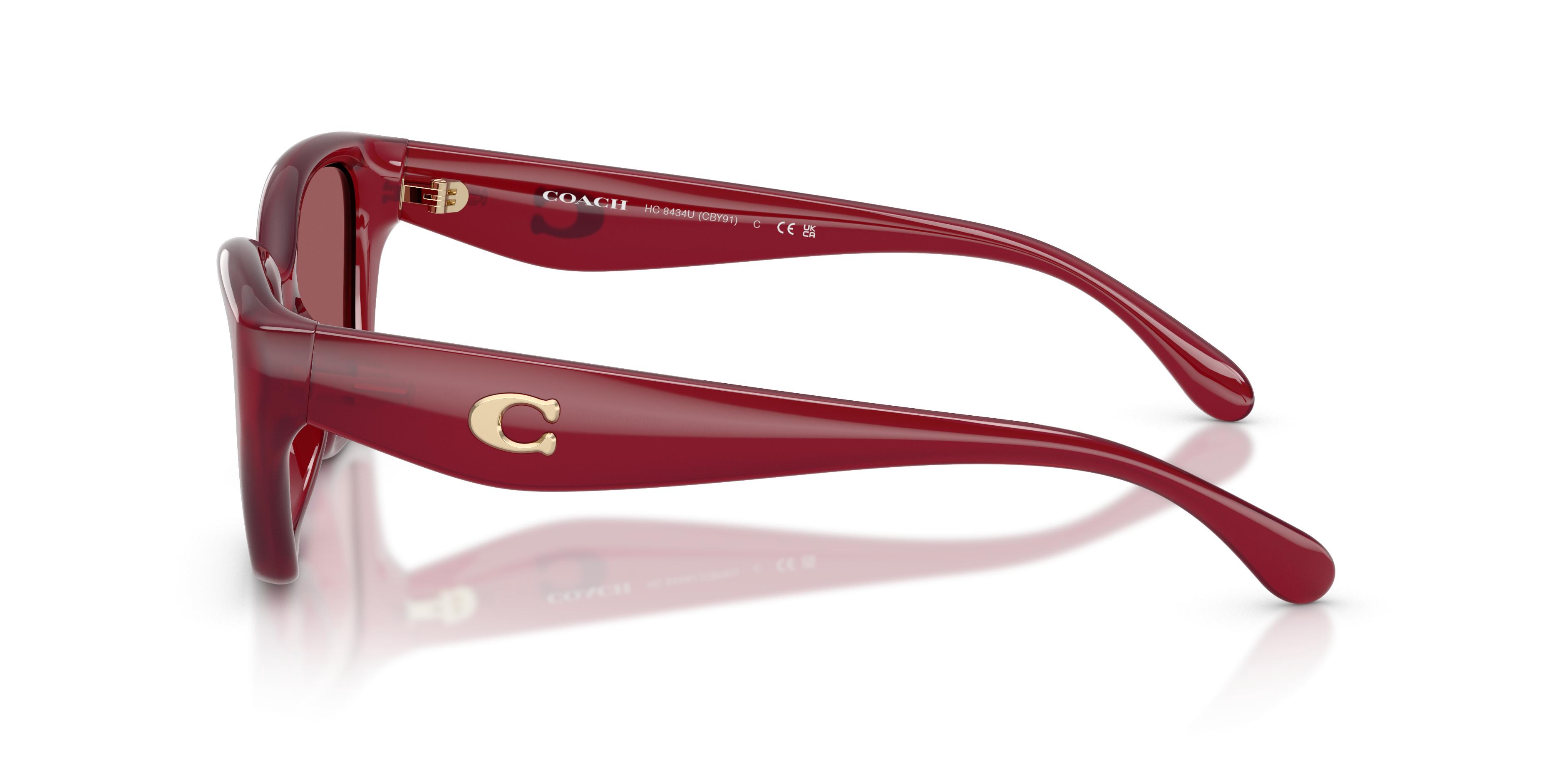 HC8434U CBY91 Sunglasses - Coach Authorized Retailer 