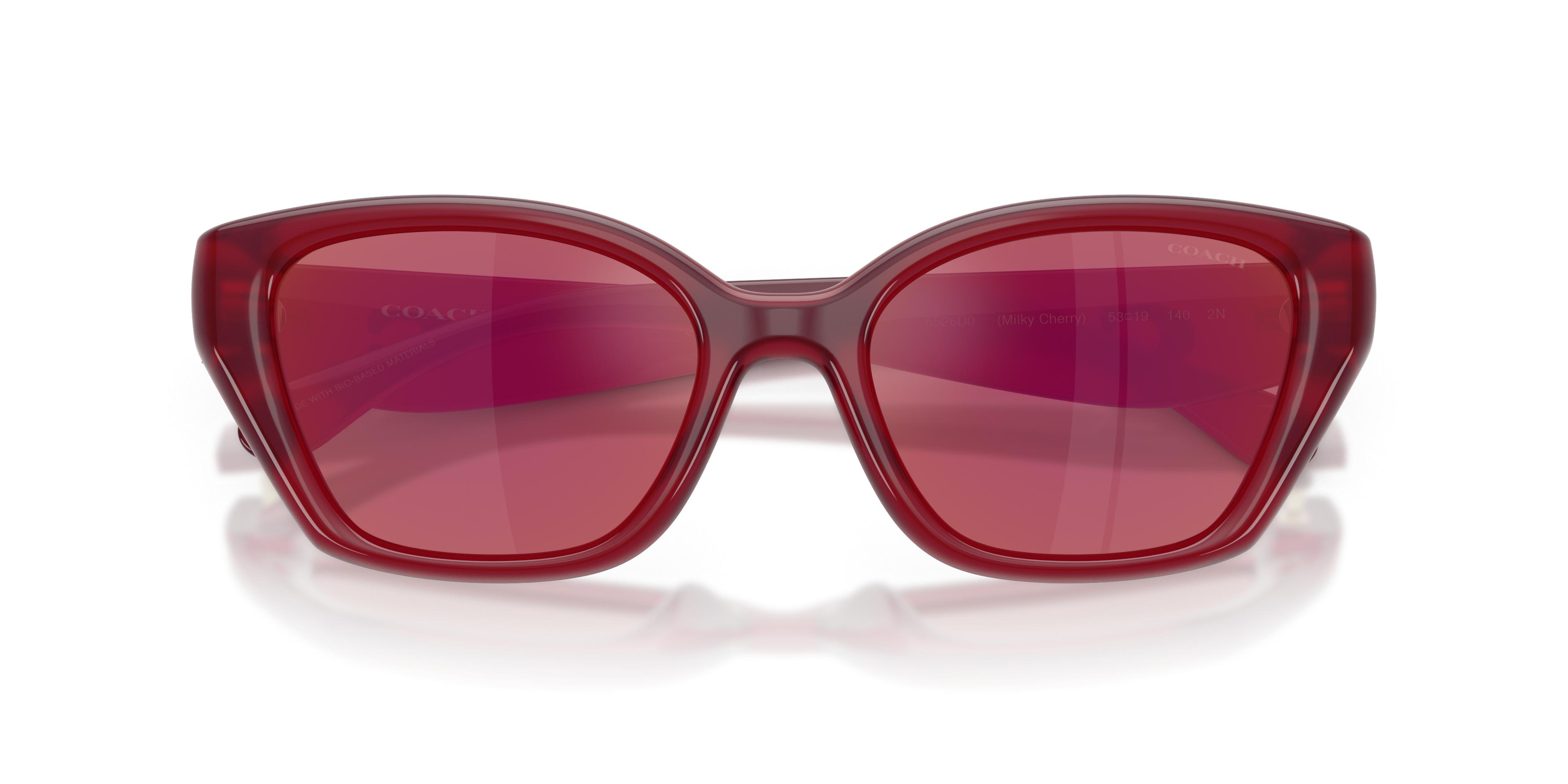 HC8434U CBY91 Sunglasses - Coach Authorized Retailer  display picture 2