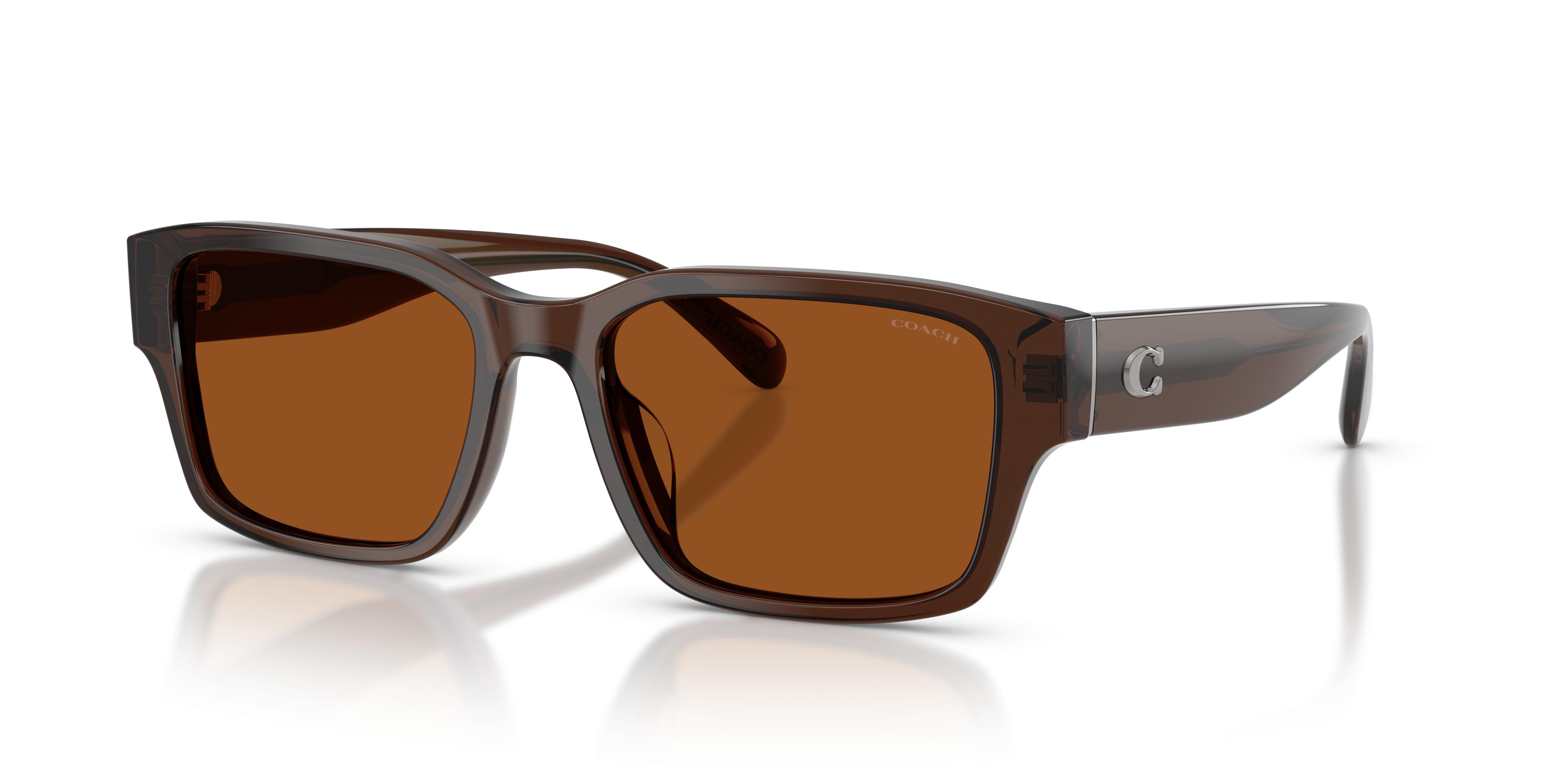 HC8441U CBY96 Sunglasses - Coach Authorized Retailer | coolframes