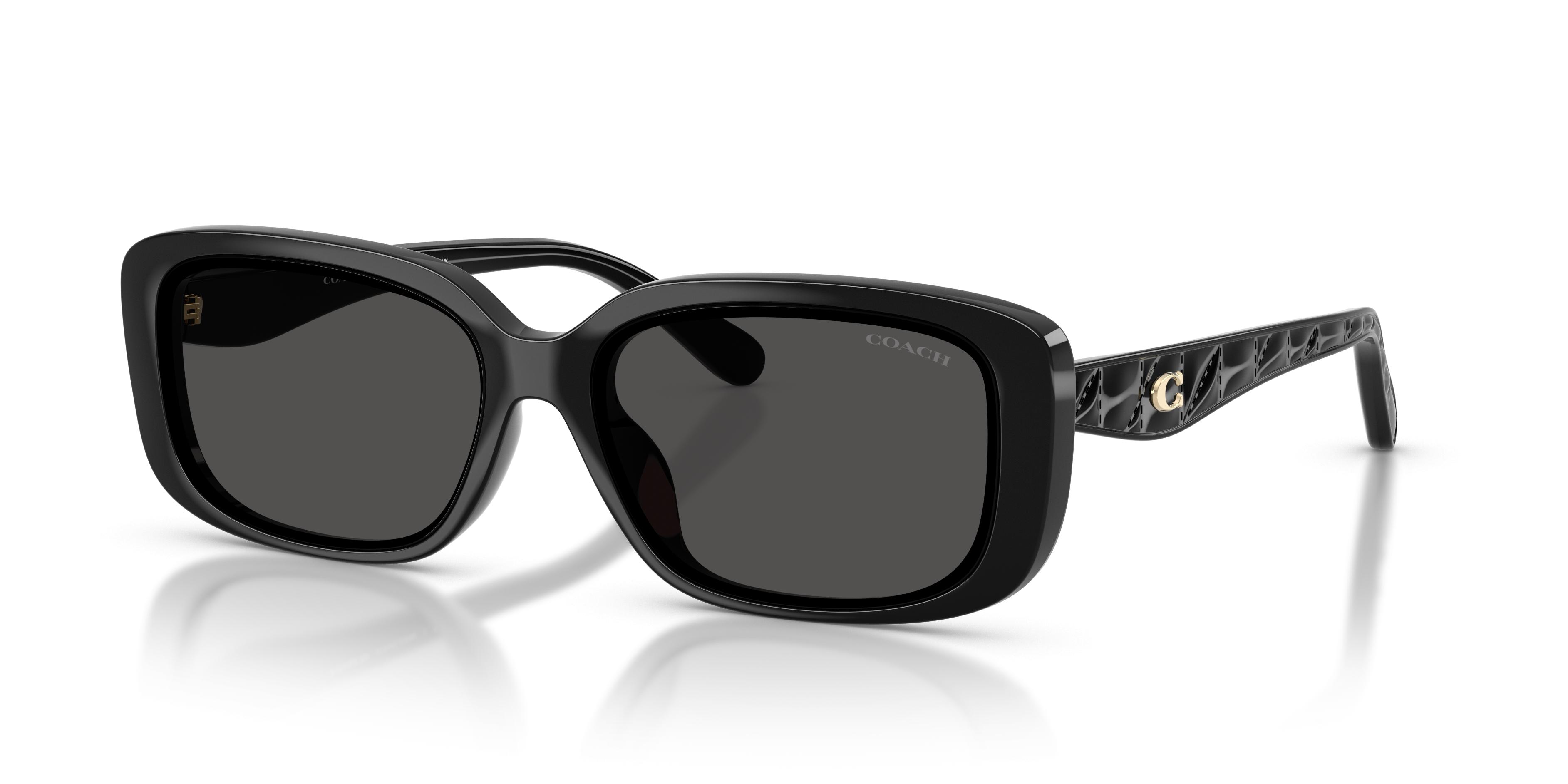 HC8444D CBY86 Sunglasses - Coach Authorized Retailer  display picture 1