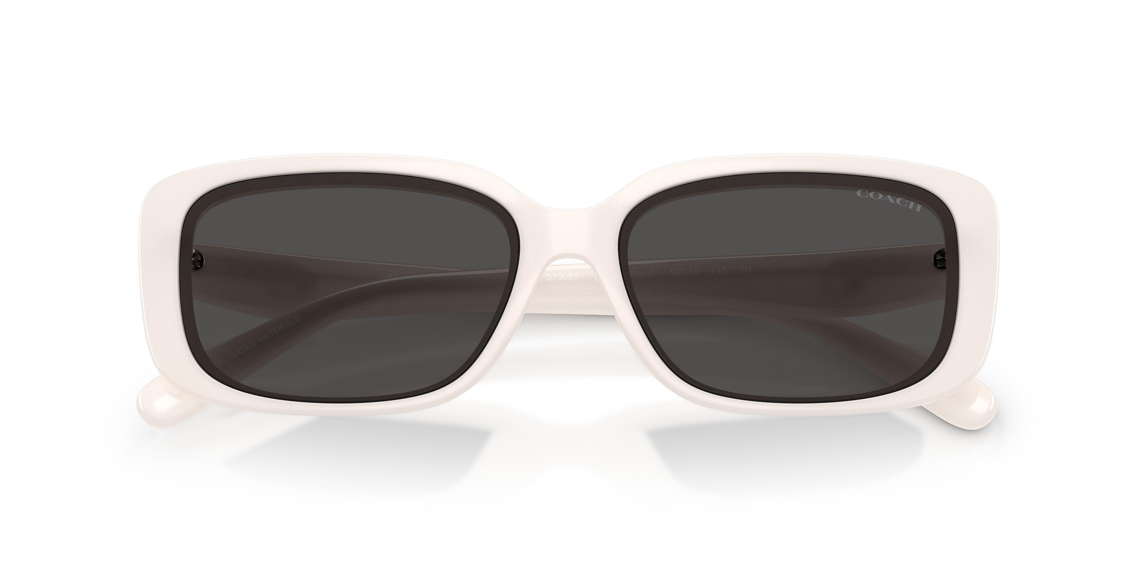 HC8444D CBY86 Sunglasses - Coach Authorized Retailer | coolframes