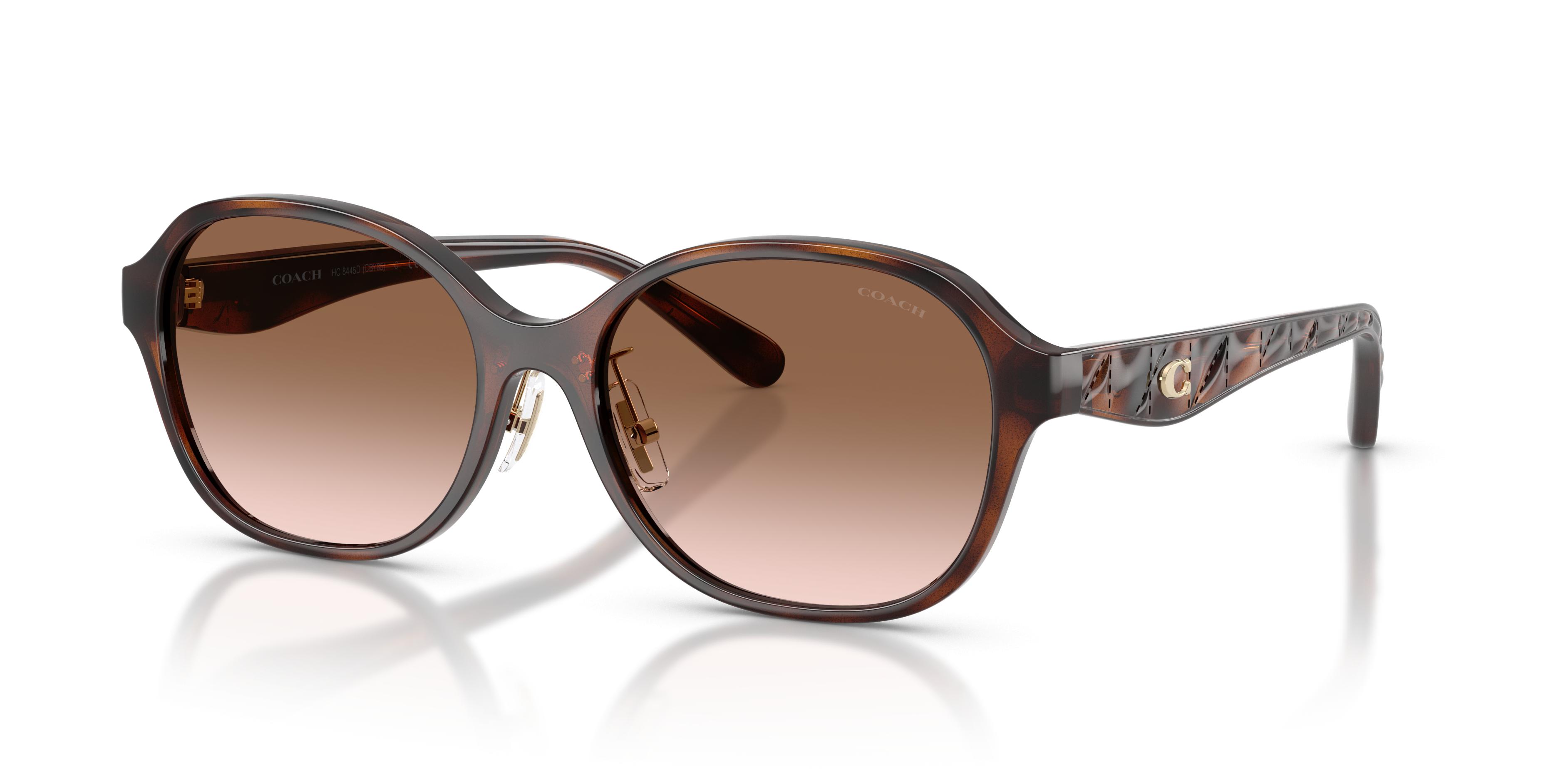 Coach C3445 Sculpted Signature Hexagon Sunglasses DARK TORTOISE (Last One) Coach HC8435U CBY82 M (54 - 19) with Brown lenses and  main image 4