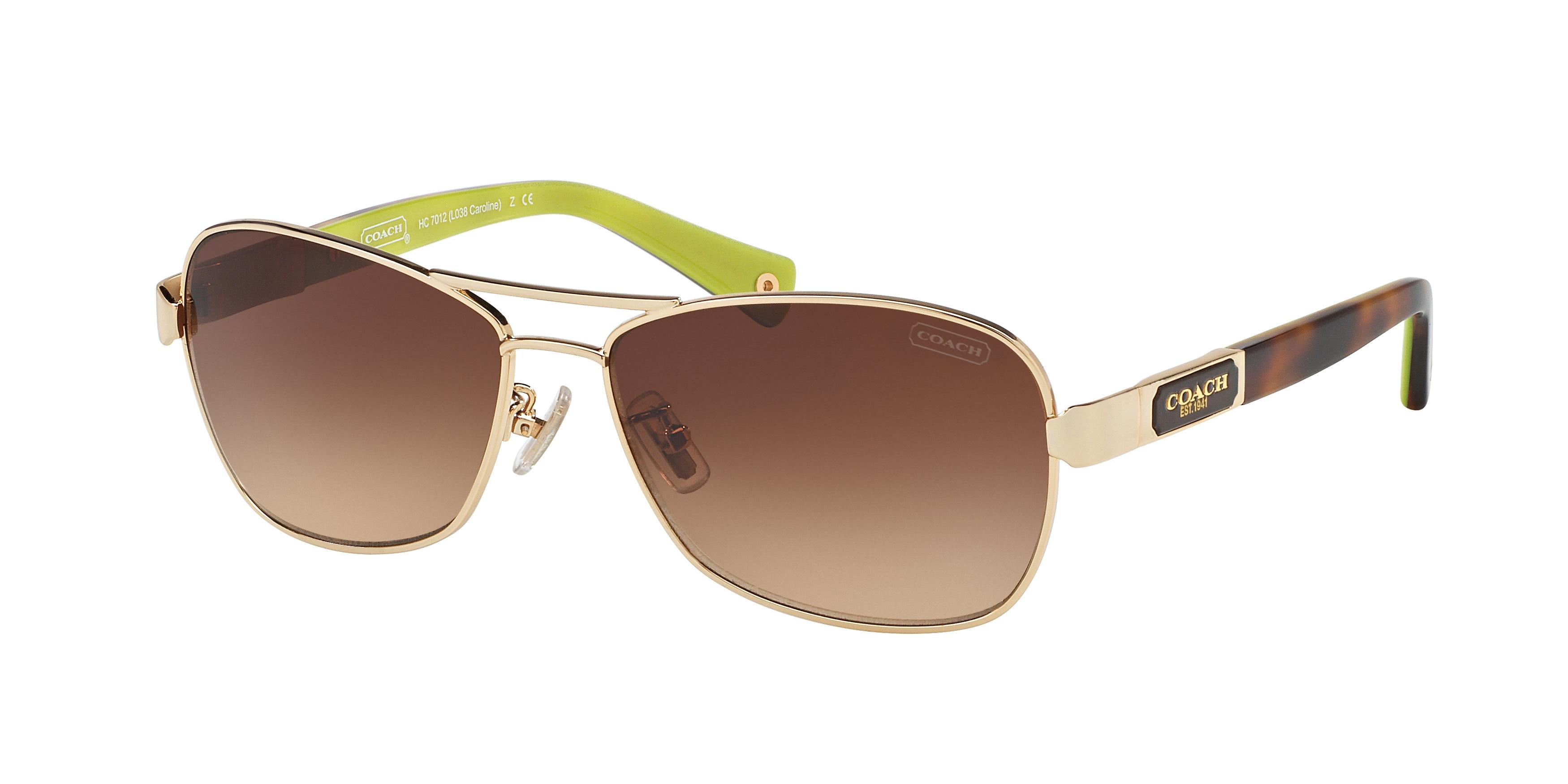 NEW Coach HC7012 L038 CAROLINE SUNGLASSES 56-14-130 with case Coach HC 7012 (L038 Caroline) 9101/13 56-14-130 3N Silver  main image 2