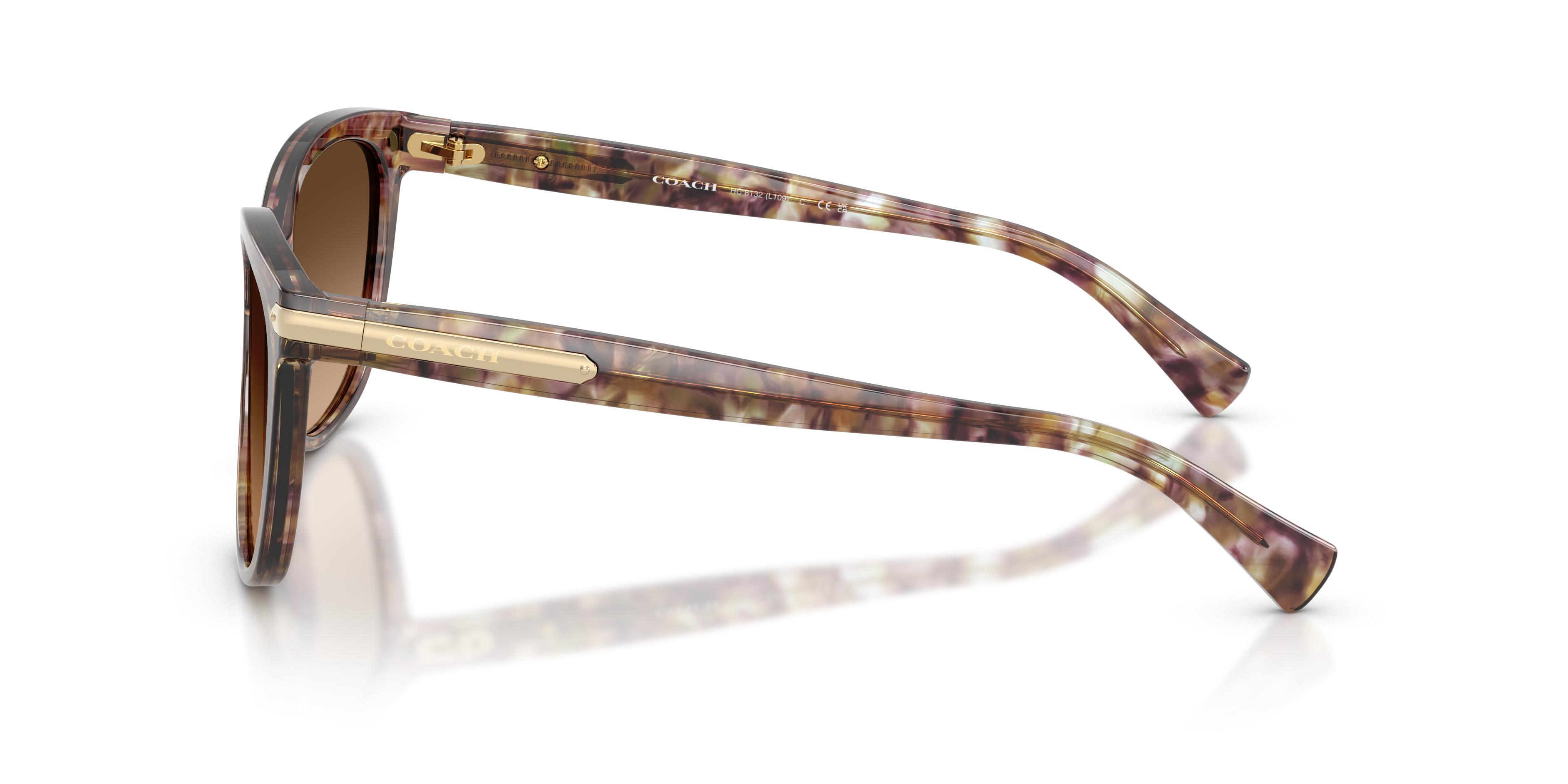 HC8132 L109 Sunglasses - Coach Authorized Retailer  display picture 1