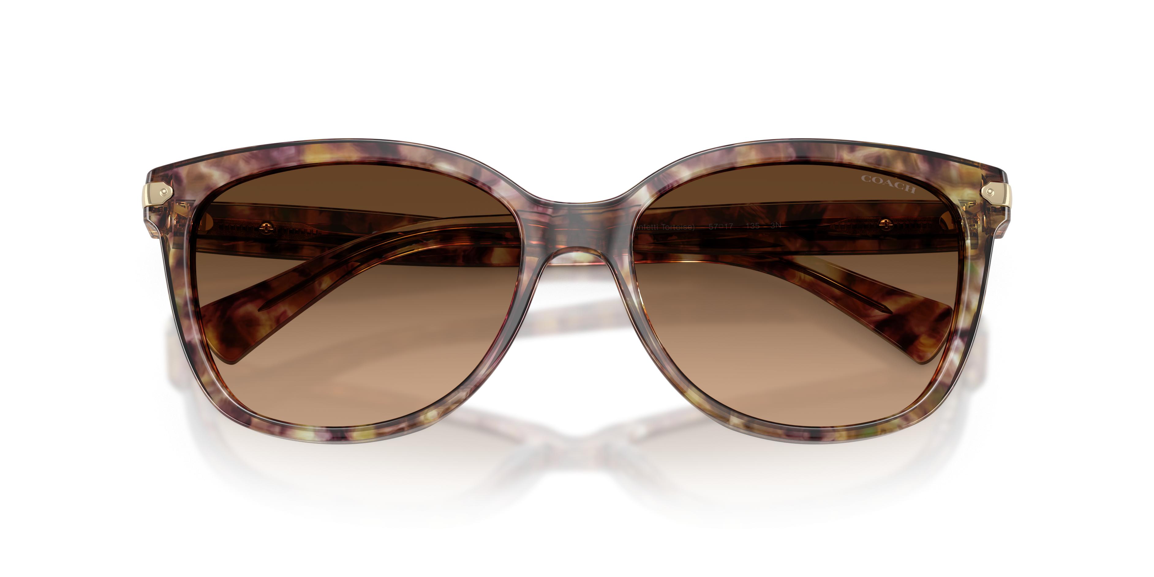 HC8132 L109 Sunglasses - Coach Authorized Retailer  display picture 3