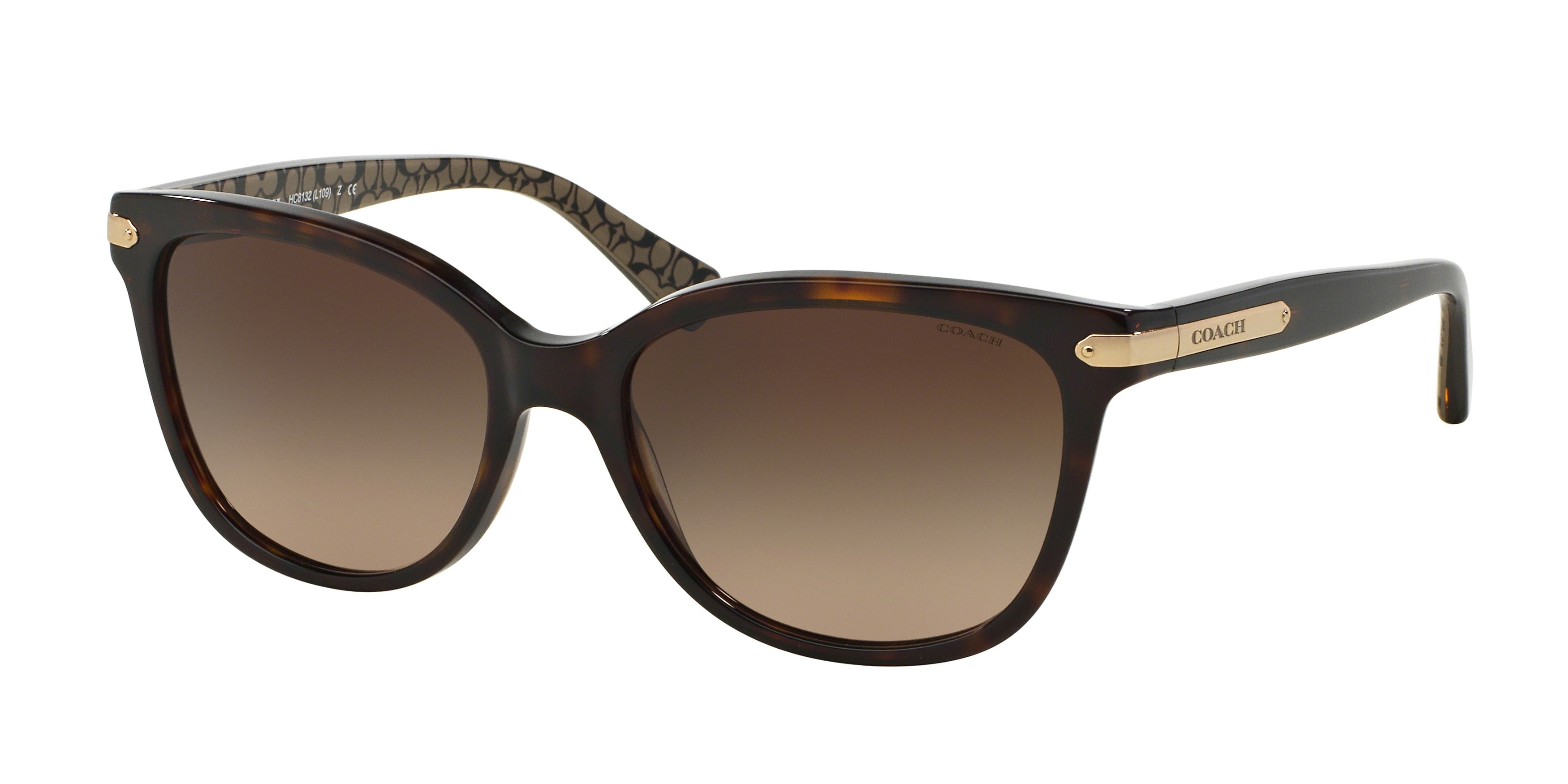 HC8132 L109 Sunglasses - Coach Authorized Retailer  display picture 3