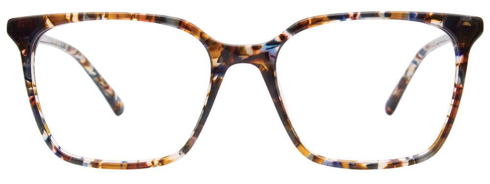 EC737 Eyeglasses - EasyClip by Aspex Authorized Retailer